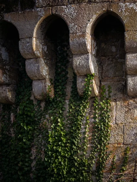ivy-covered-medieval-stone-castle-corbels